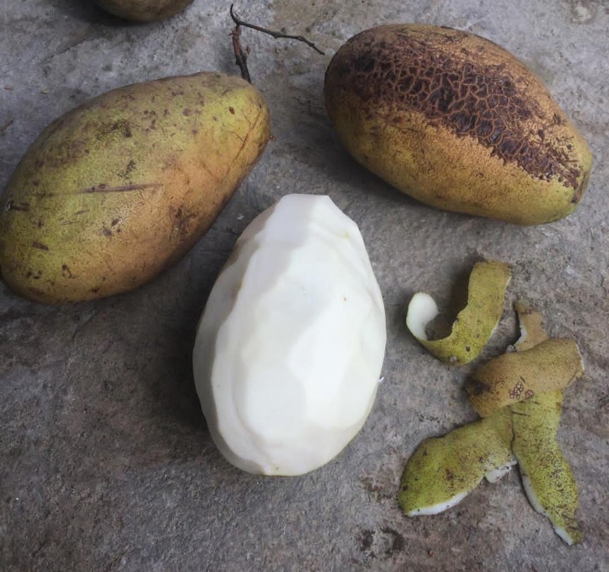 White mango 3.jpg