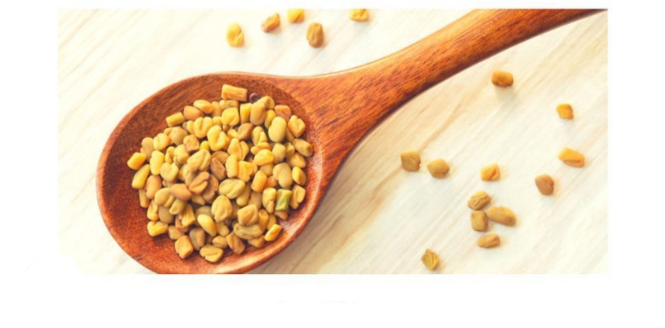 In the southern Indian state , "uluva" refers to fenugreek. So, in English, "uluva" translates to "fenugreek."
