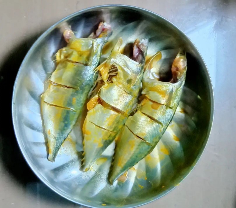 bangda fish (Indian Mackerel fish)