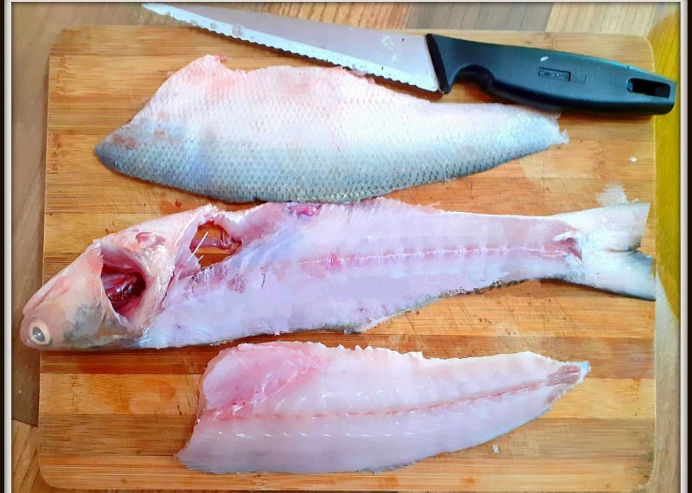 gurjali fish (Indian Salmon)